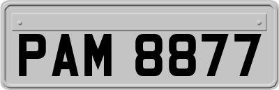 PAM8877