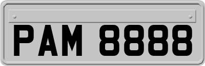 PAM8888
