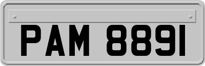 PAM8891