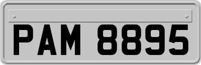 PAM8895
