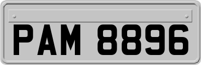 PAM8896