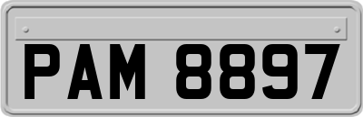 PAM8897