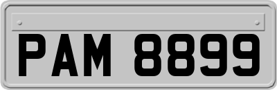 PAM8899