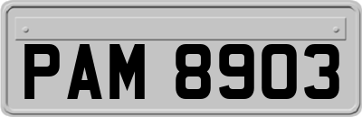 PAM8903