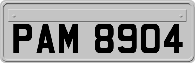 PAM8904