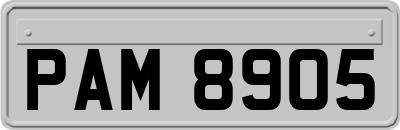 PAM8905