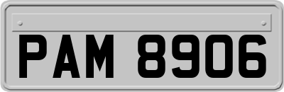 PAM8906