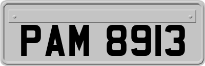 PAM8913