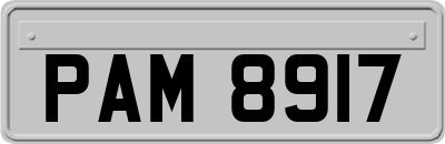 PAM8917
