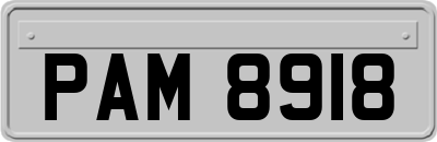PAM8918