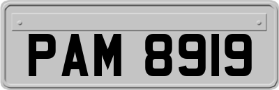 PAM8919