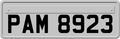 PAM8923