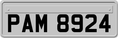 PAM8924