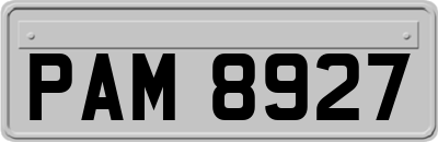PAM8927
