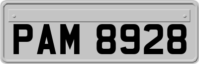 PAM8928
