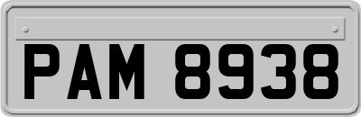 PAM8938