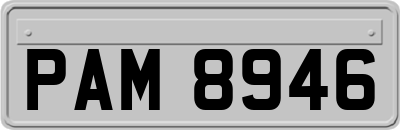 PAM8946