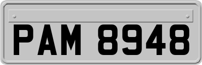 PAM8948