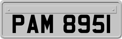 PAM8951