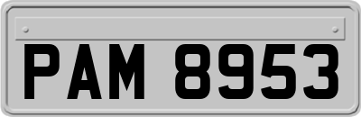 PAM8953