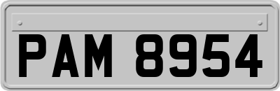 PAM8954