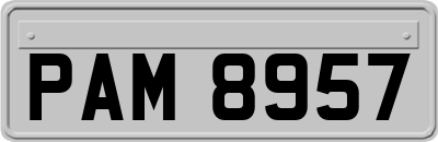 PAM8957