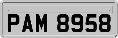 PAM8958
