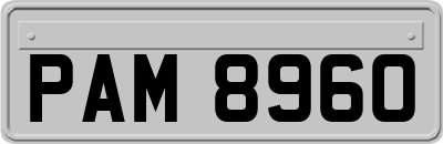 PAM8960