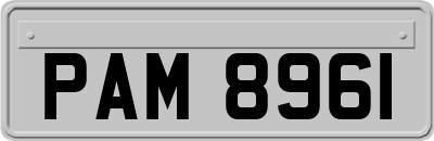 PAM8961