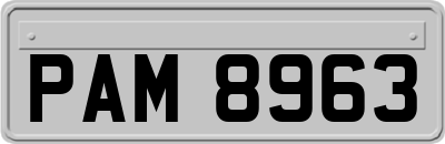 PAM8963