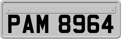 PAM8964