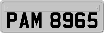 PAM8965