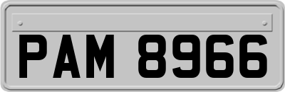PAM8966