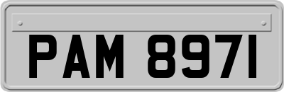 PAM8971