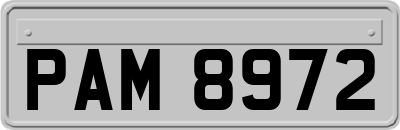 PAM8972