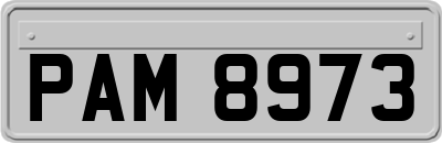 PAM8973