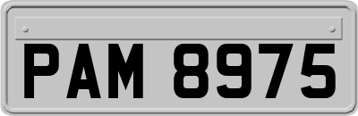 PAM8975