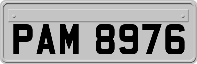 PAM8976