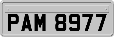 PAM8977