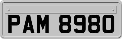 PAM8980