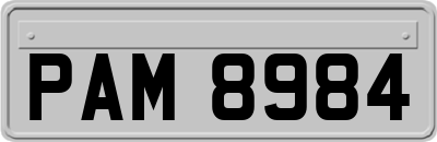 PAM8984