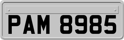 PAM8985