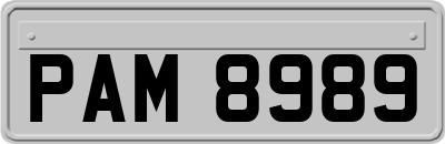 PAM8989