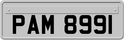 PAM8991