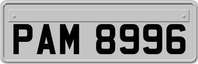 PAM8996