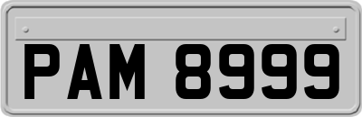 PAM8999