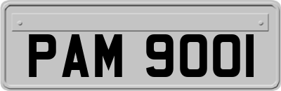 PAM9001