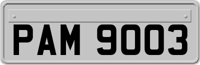 PAM9003