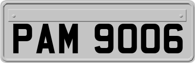 PAM9006