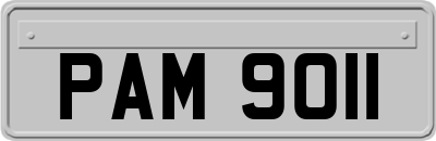 PAM9011
